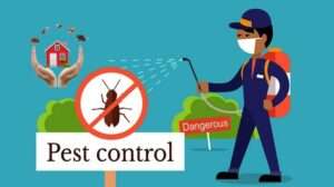 Pest Control Service in delhi