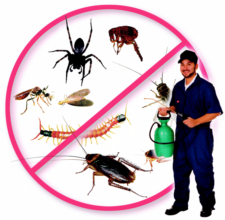 Pest Control Provider